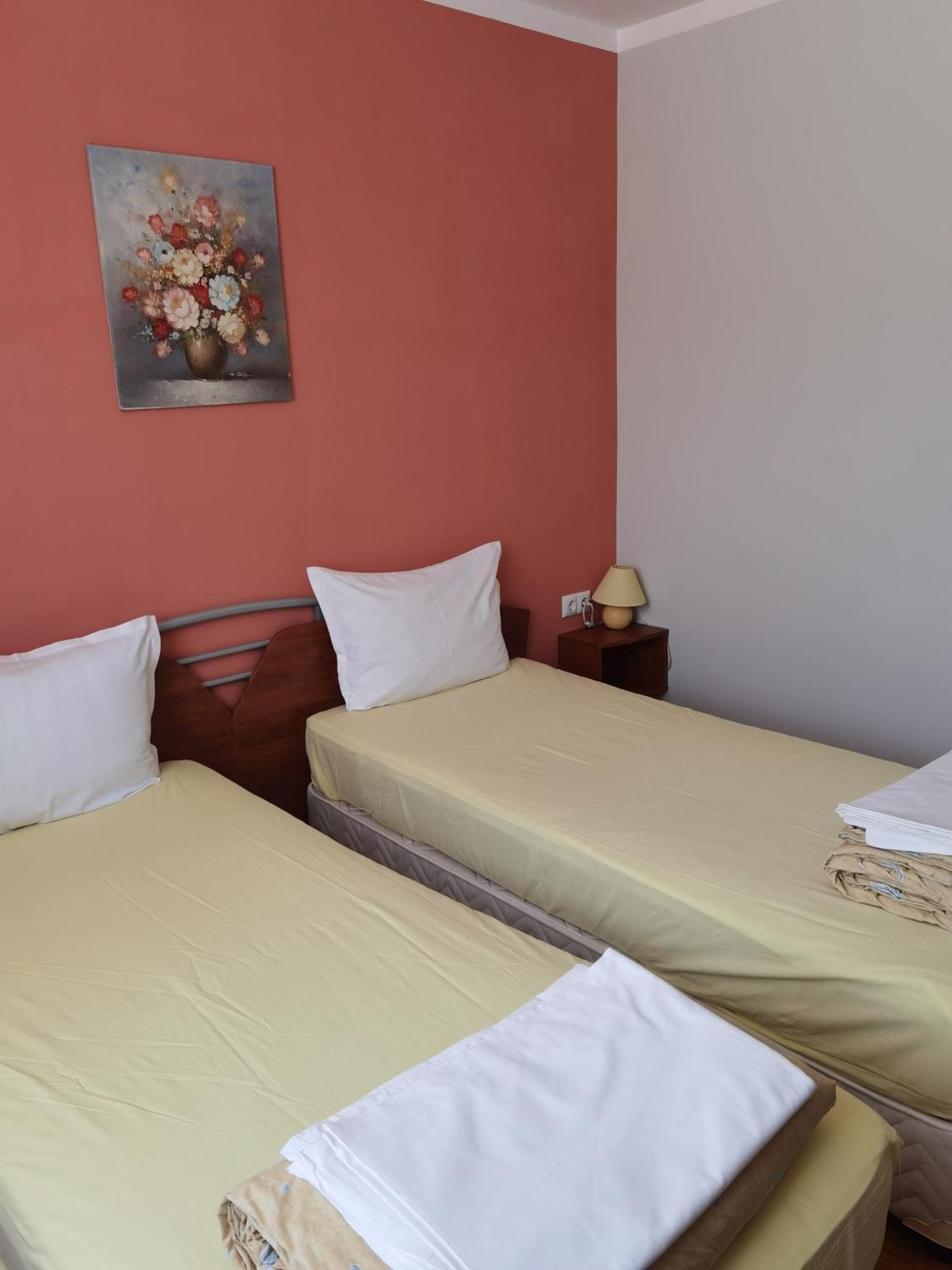 Mira Guest House Dobrinishte Phòng bức ảnh